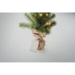 Aveto – Bild 6