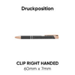 Bern Rose – Bild 2